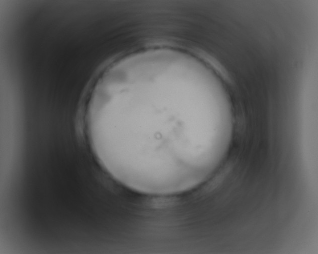 X0000100940832200807081233