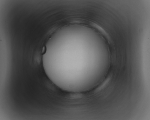 X0000100940833200807081233