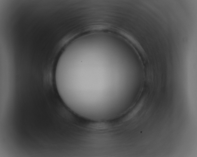 X0000100940834200807081233