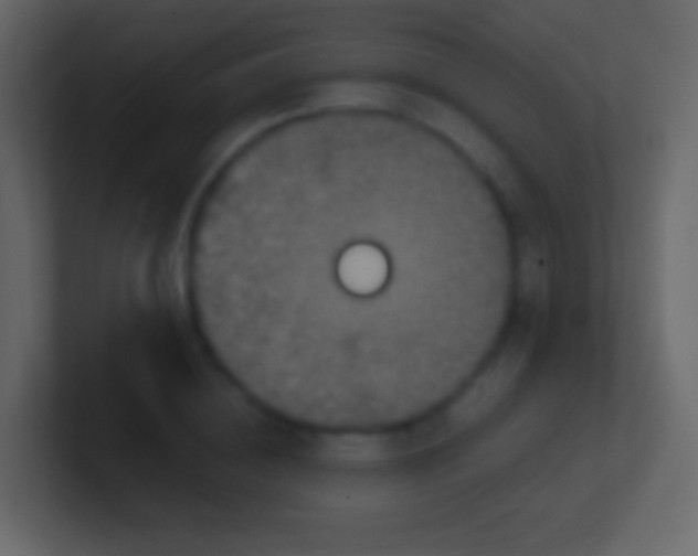 X0000100940836200807081233