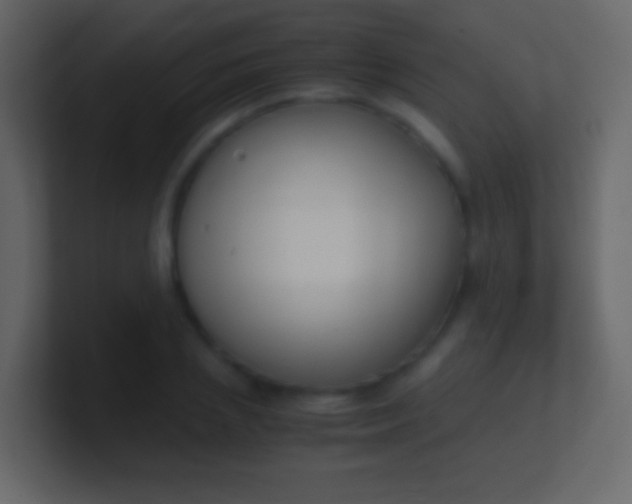 X0000100940837200807081233