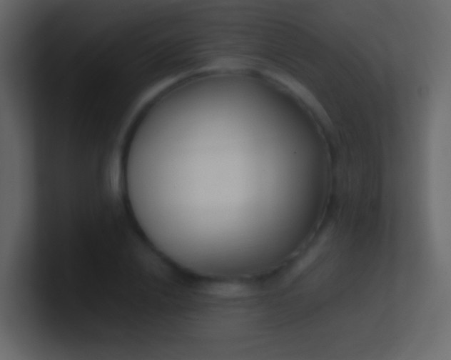 X0000100940838200807081233