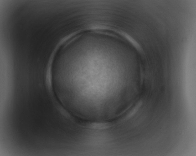 X0000100940840200807081233