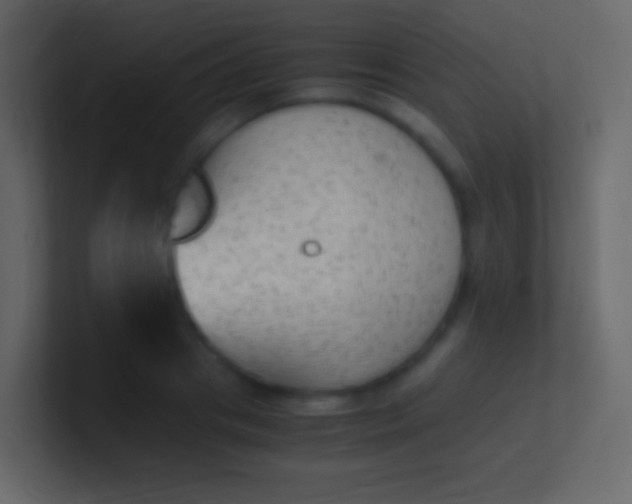 X0000100940841200807081233