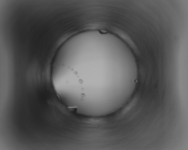 X0000100940842200807081233