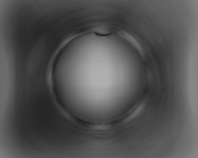 X0000100940843200807081233