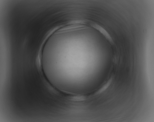 X0000100940844200807081233