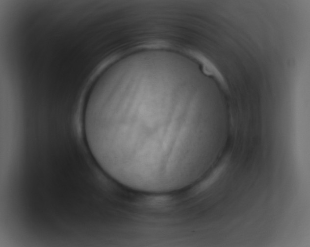 X0000100940845200807081233