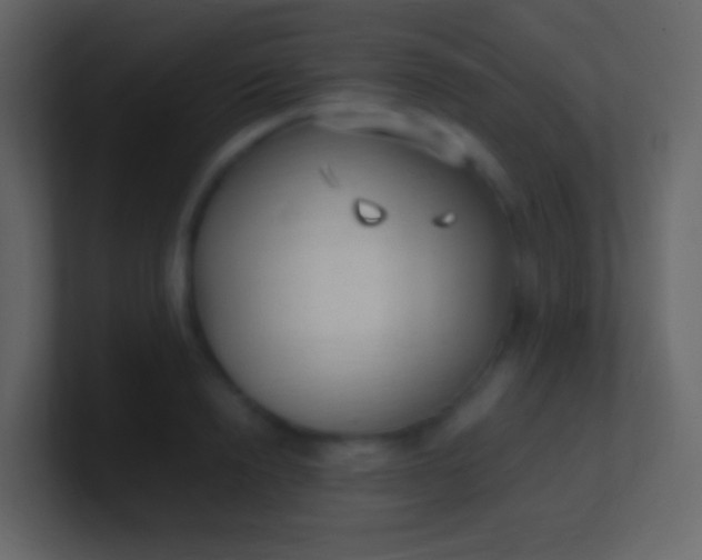 X0000100940846200807081233