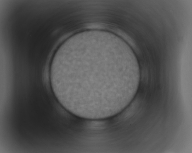 X0000100940848200807081233