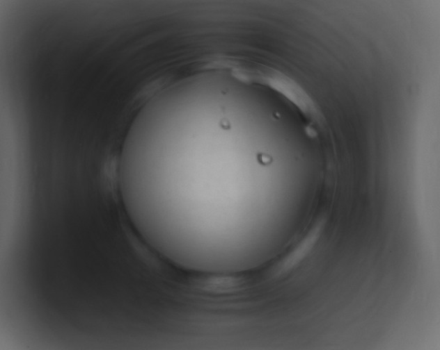 X0000100940849200807081233