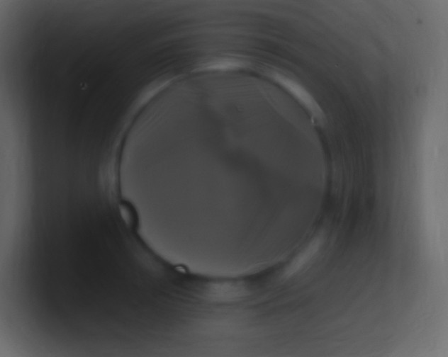 X0000100940850200807081233