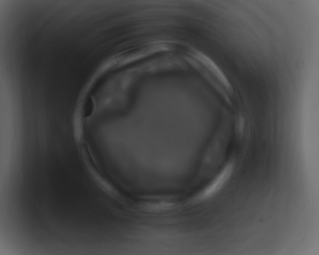 X0000100940851200807081233