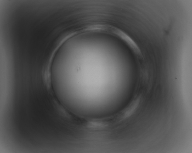 X0000100940852200807081233