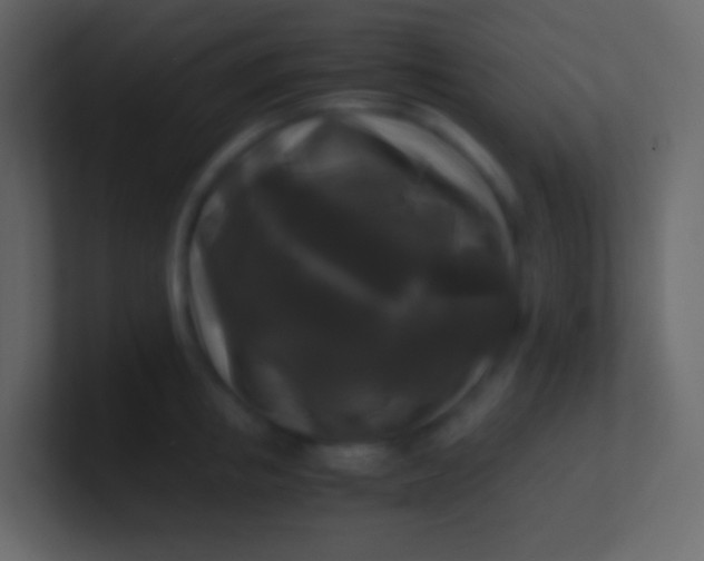 X0000100940853200807081233