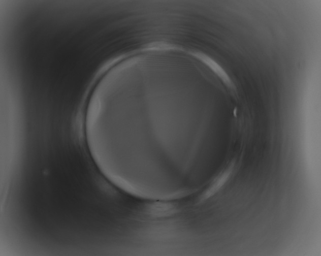 X0000100940854200807081233