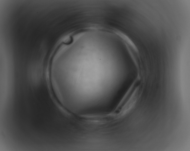 X0000100940855200807081233