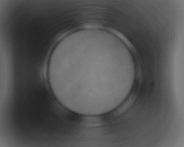 X0000100940856200807081233