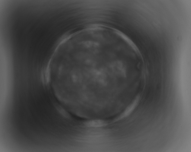 X0000100940858200807081233