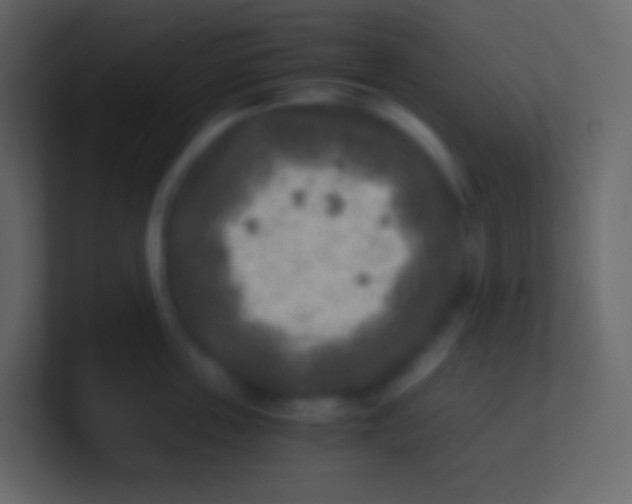 X0000100940859200807081233