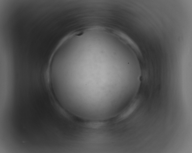 X0000100940860200807081233