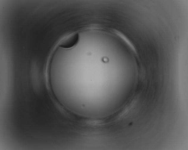 X0000100940861200807081233