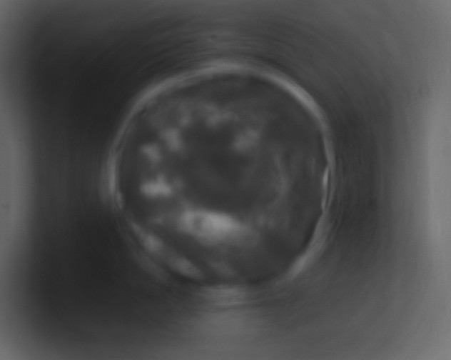 X0000100940862200807081233