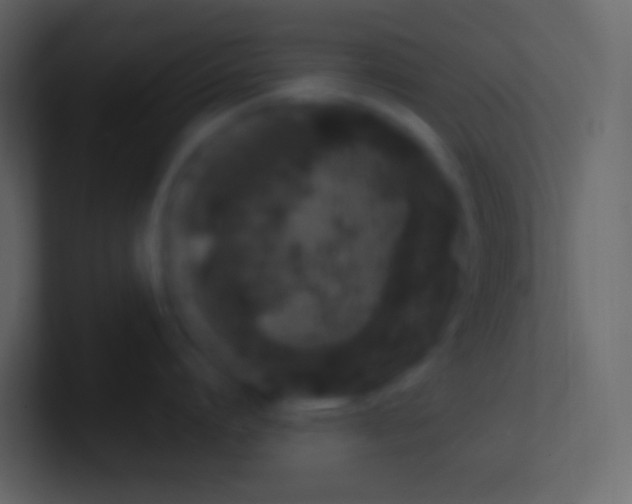 X0000100940864200807081233