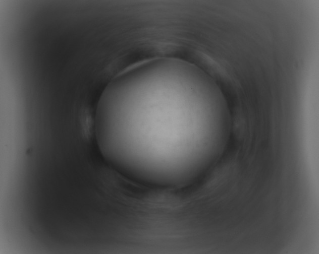 X0000100940866200807081232