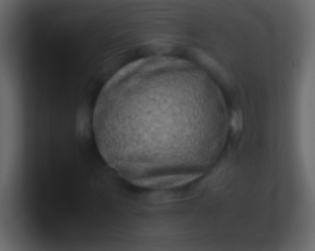 X0000100940867200807081232