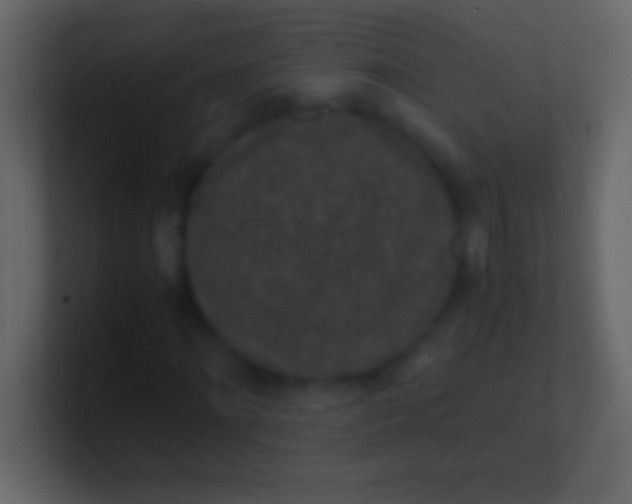 X0000100940868200807081232