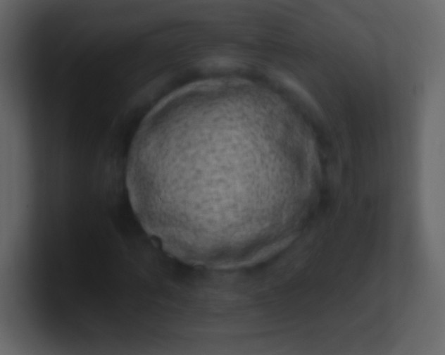 X0000100940870200807081232