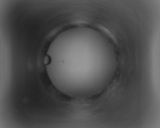 X0000100940871200807081232