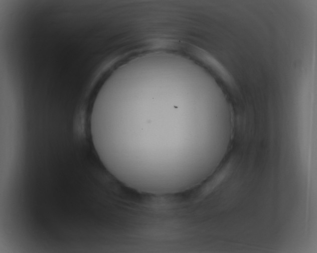 X0000100940875200807081232