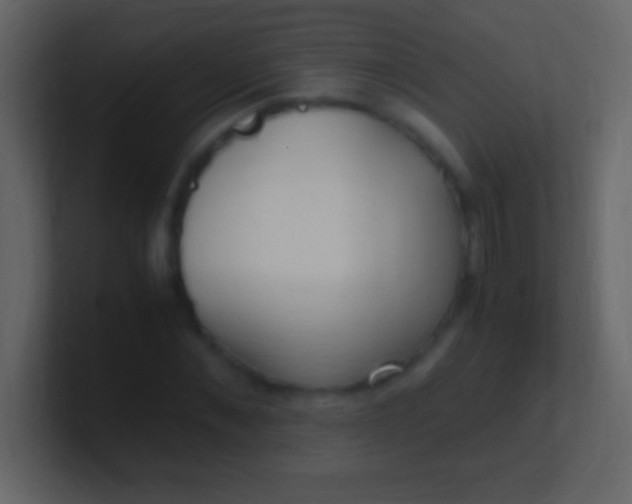 X0000100940876200807081232