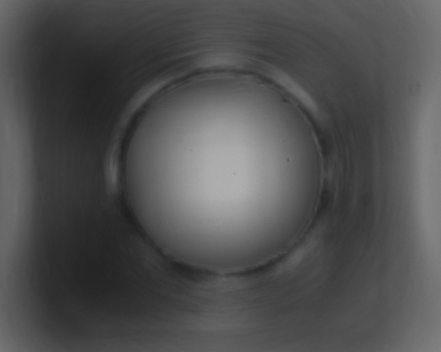 X0000100940877200807081232