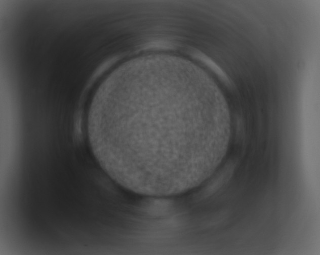 X0000100940878200807081232