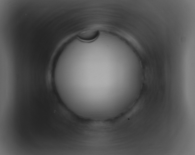 X0000100940880200807081232