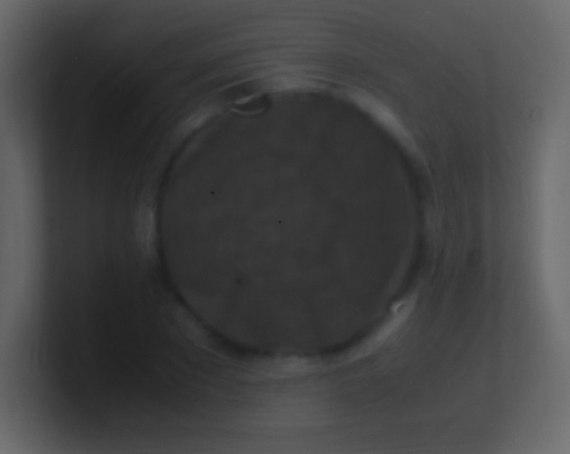 X0000100940881200807081232