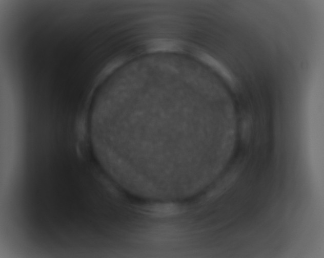 X0000100940882200807081232