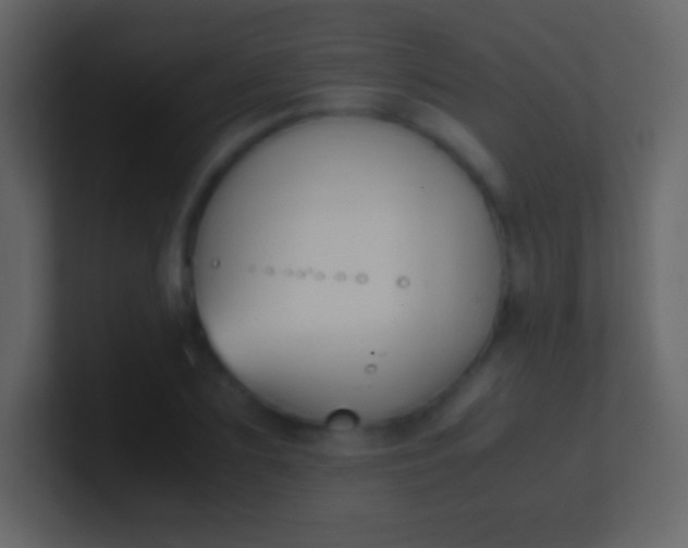 X0000100940883200807081232