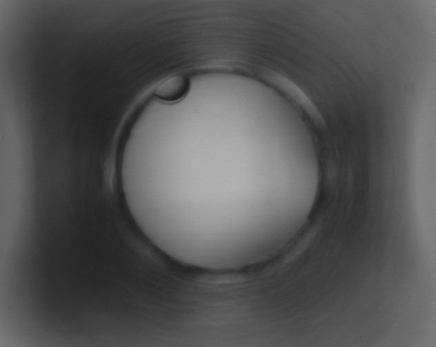 X0000100940884200807081232