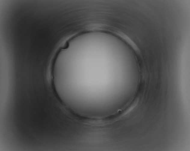 X0000100940885200807081232