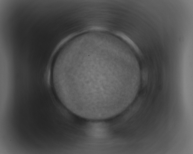 X0000100940886200807081232