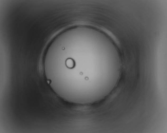 X0000100940887200807081232