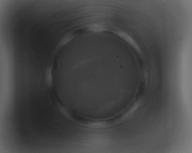 X0000100940889200807081232