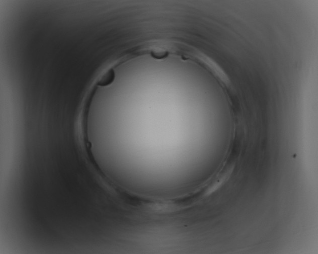 X0000100940893200807081232