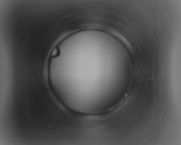 X0000100940894200807081232