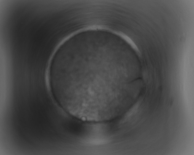 X0000100940895200807081232