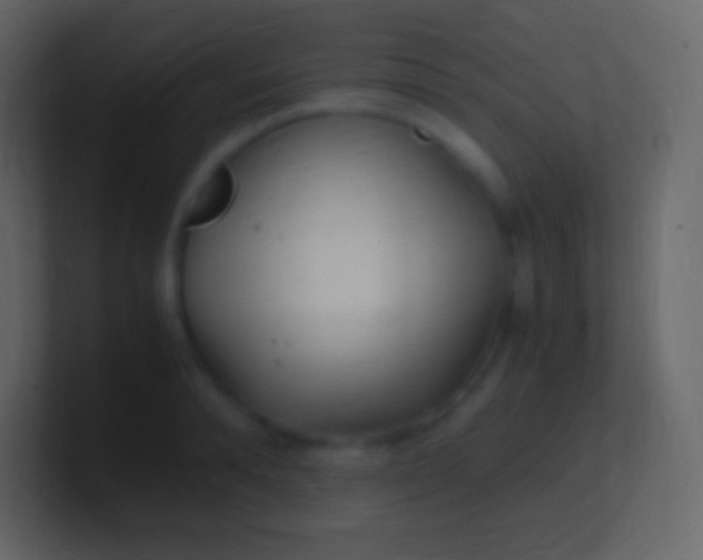 X0000100940896200807081232